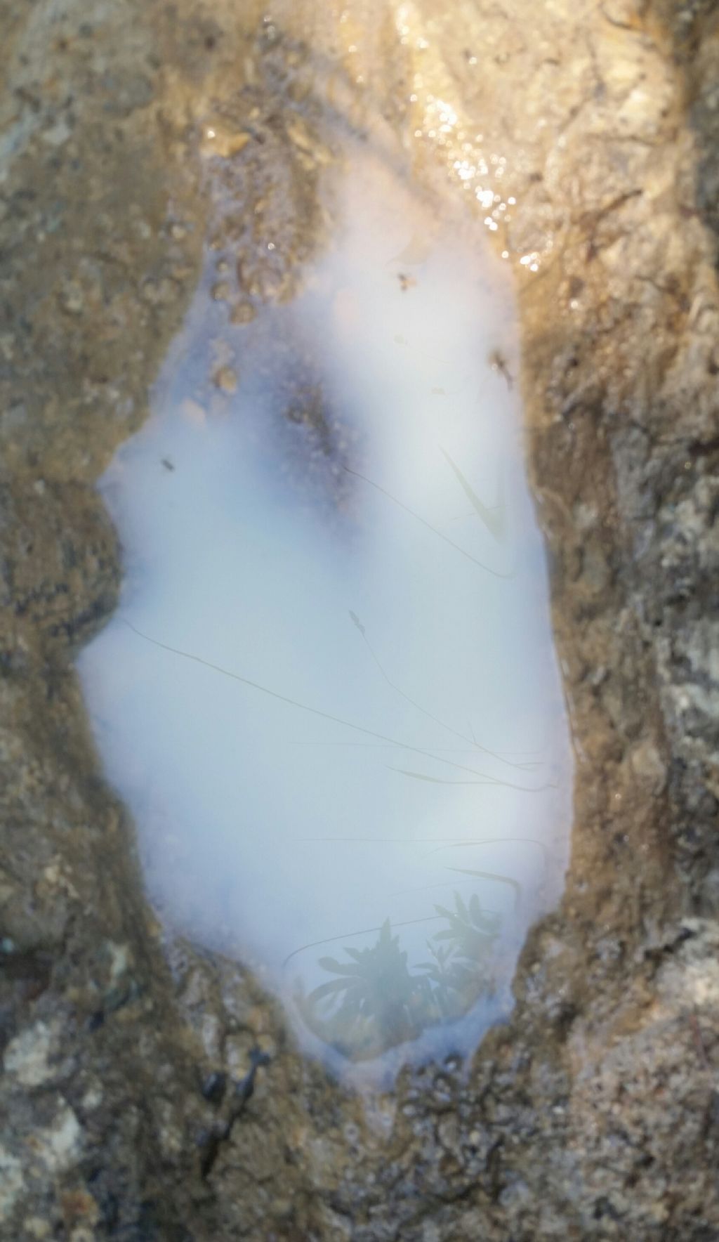 Pozzetta con acqua bianca